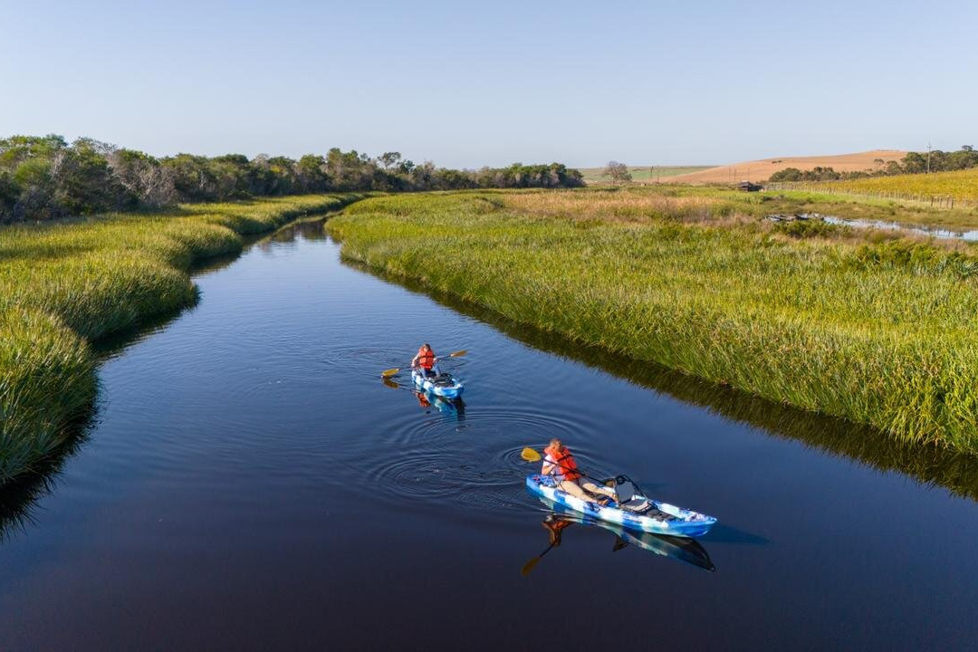 Zoetendal Vineyards & River Estate-Elim必去景点