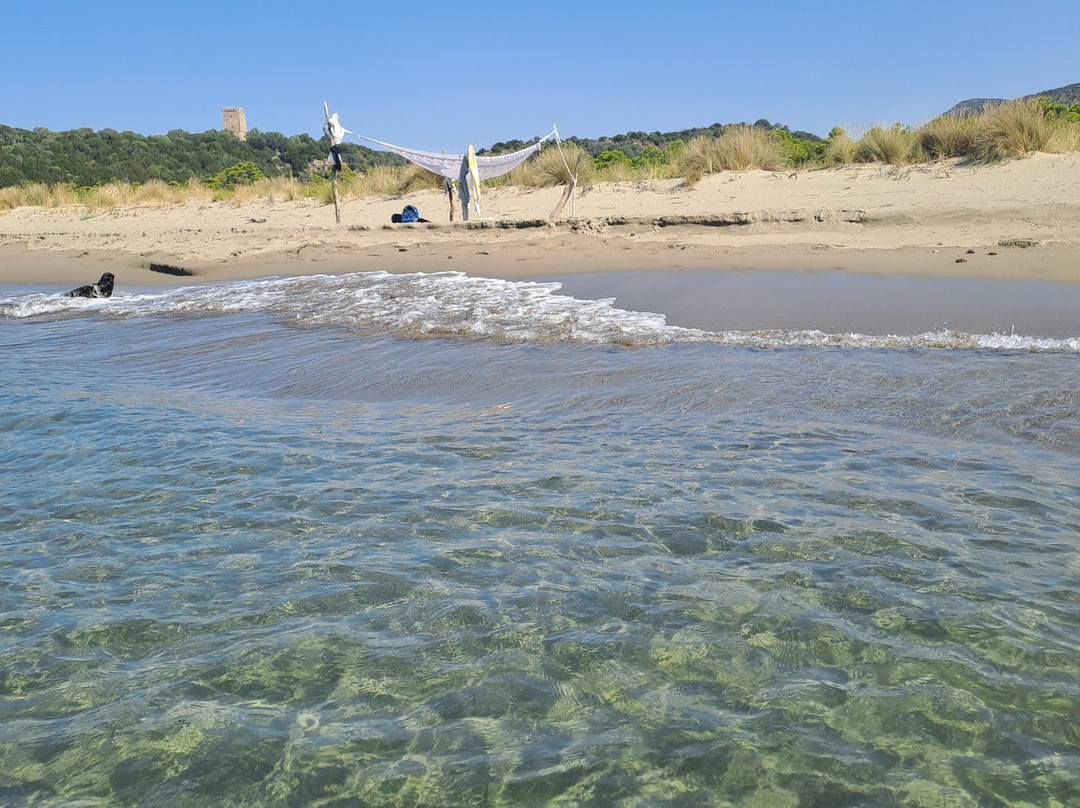 Spiaggia e Torre Di Collelungo景点图片