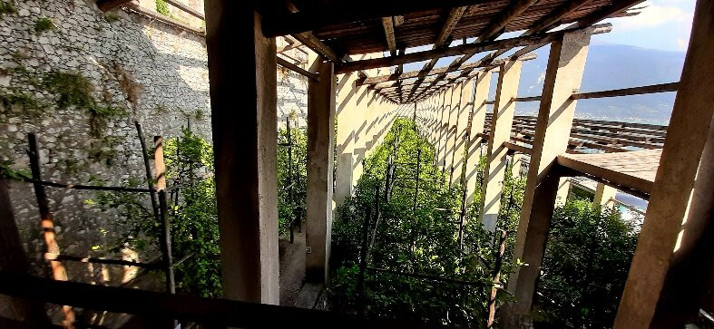Limonaia Pra dela Fam景点图片