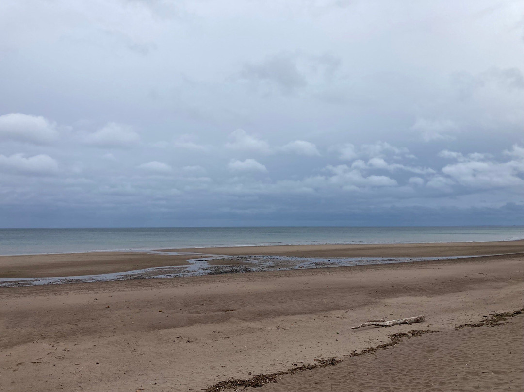 Spittal Beach景点图片