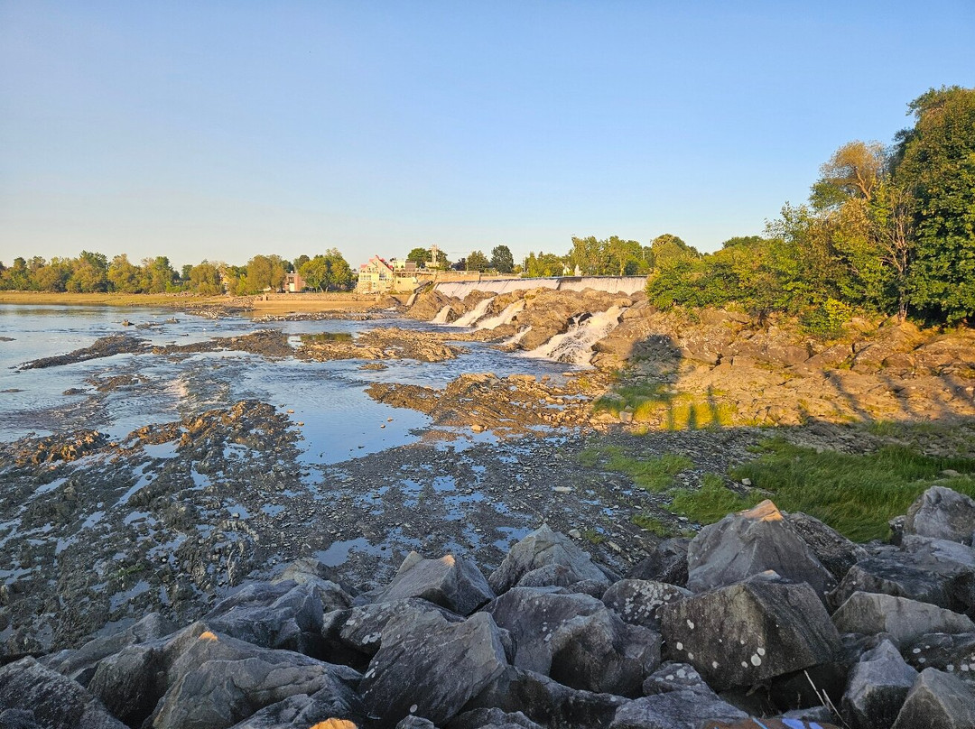 Le Jardin des Souches et la Promenade du Bassin-Montmagny必去景点