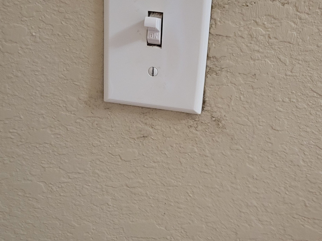 Hampton Inn Bartow主图