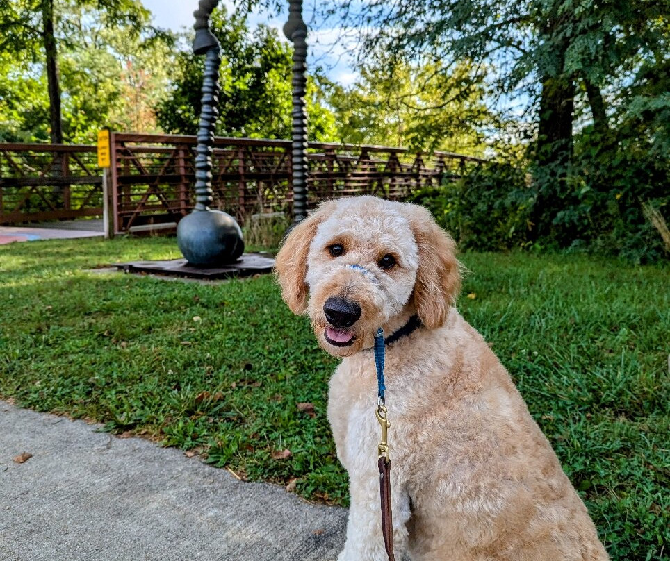 Meadowbrook Park-厄巴纳必去景点