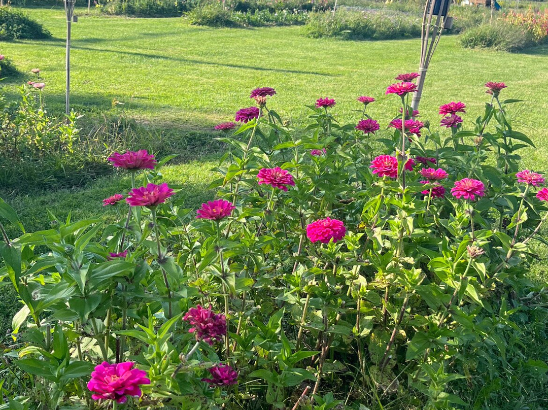 Valley Dream Farm-Cambridge必去景点