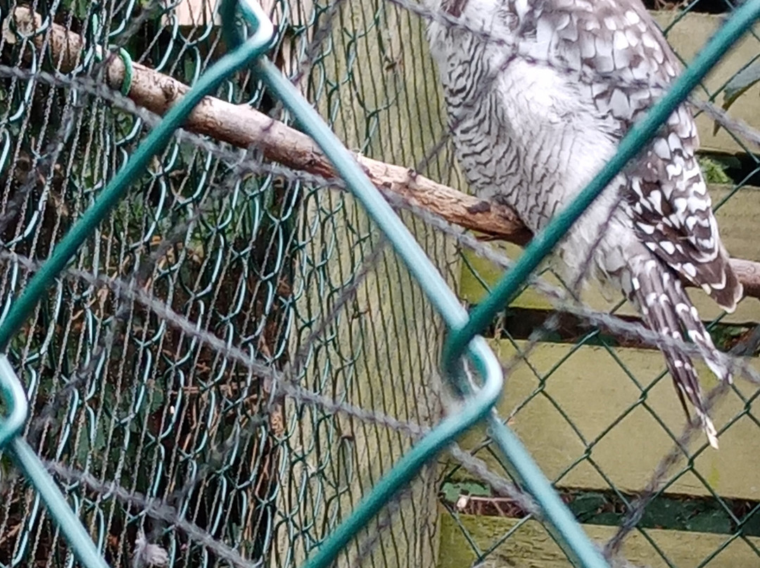 The Owls Trust景点图片