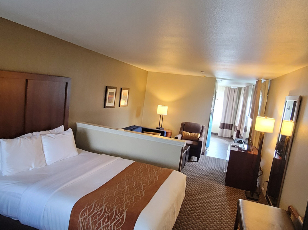 Comfort Inn & Suites - Midtown主图