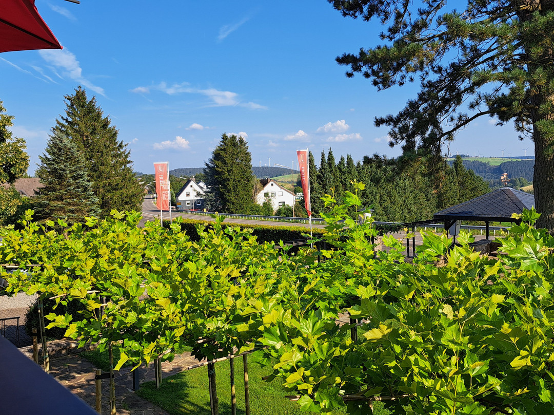 Hotel Hollerather Hof主图