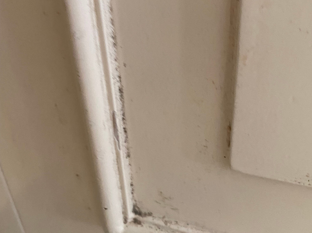 Indies Heritage Hotel主图