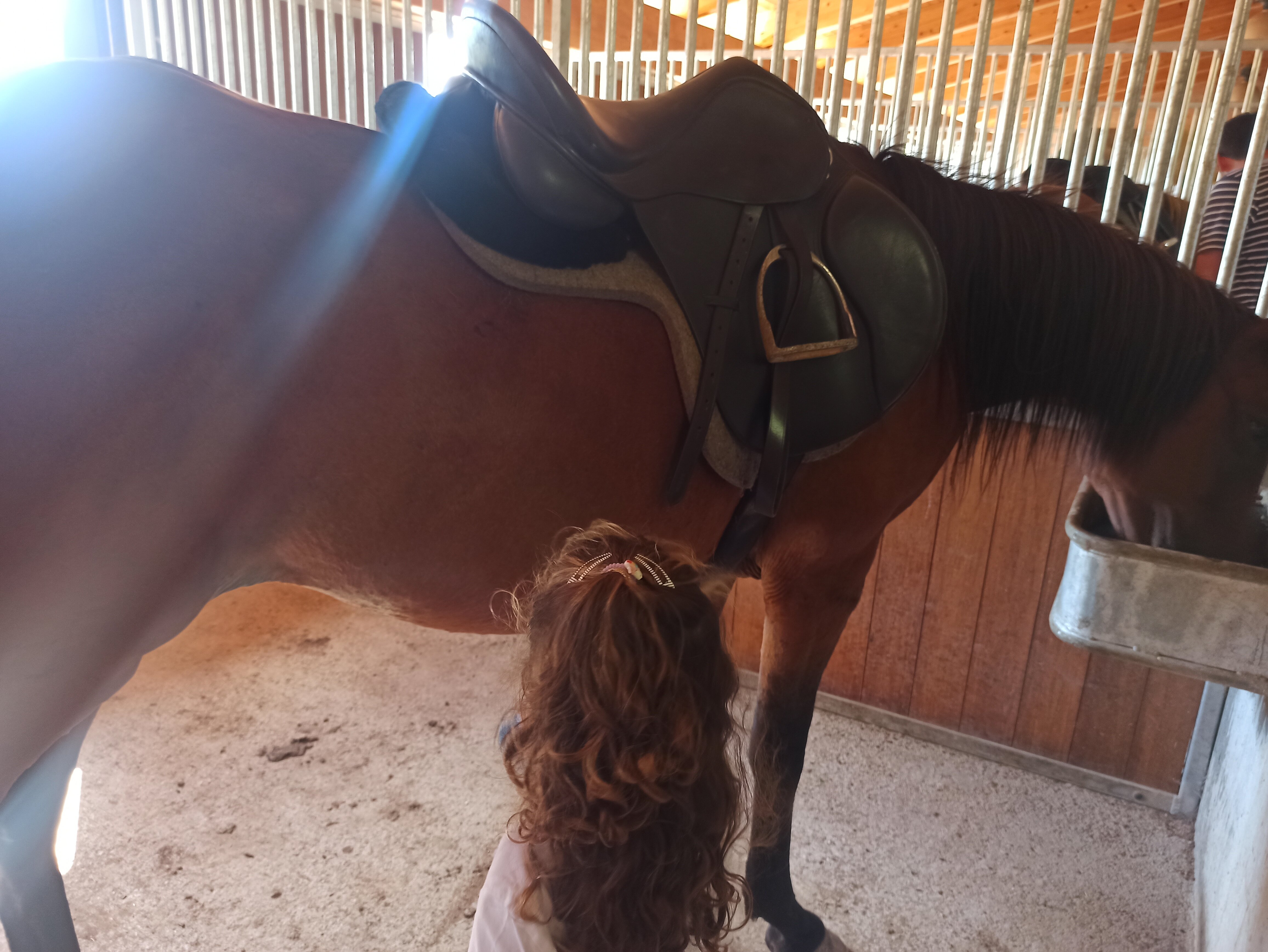 La Costa De Mollo-官方