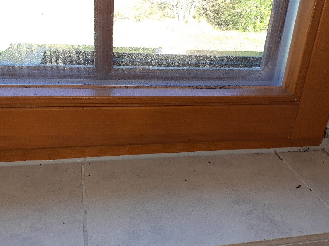 Inselklause Schwarzwald主图