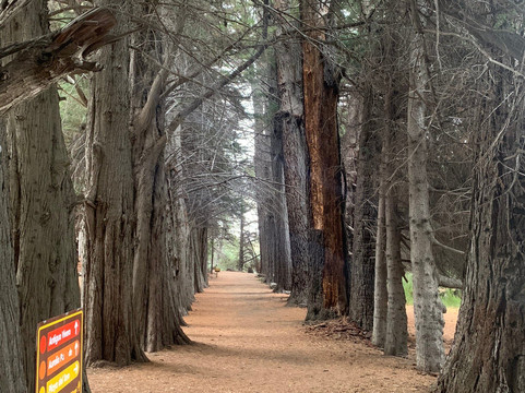 Isla Victoria-圣卡洛斯-德巴里洛切必去景点