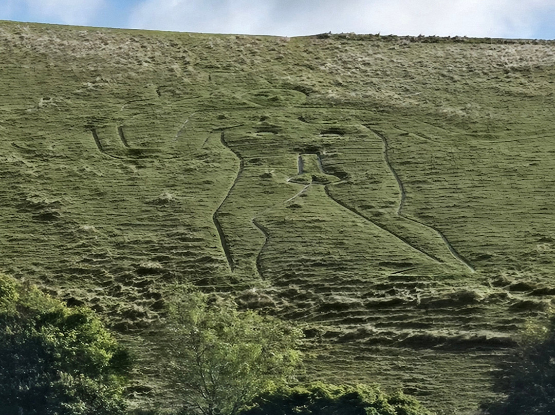 Cerne Abbas Giant景点图片