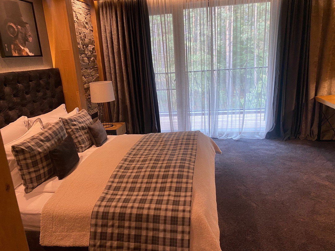 Kashmir Wellness & Spa Hotel