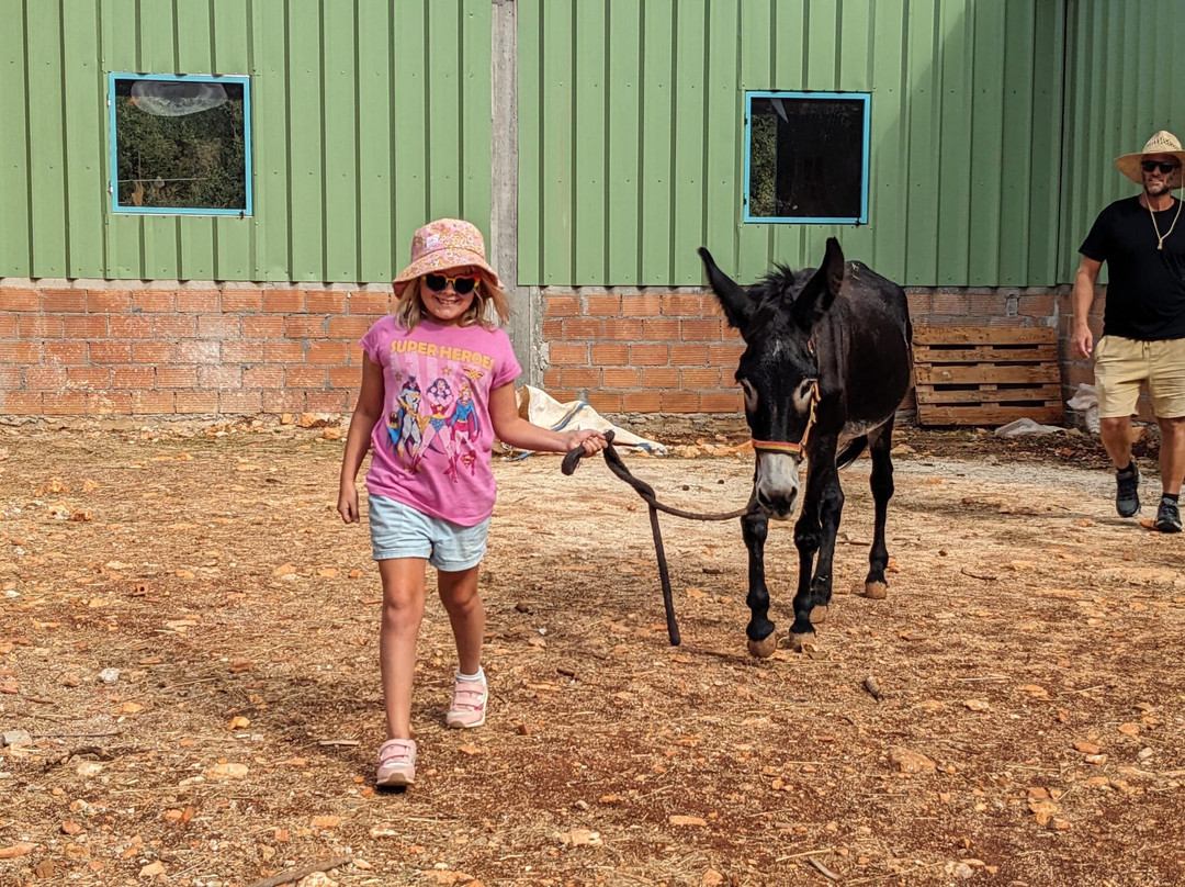 Donkey Trekking Kefalonia-萨米必去景点