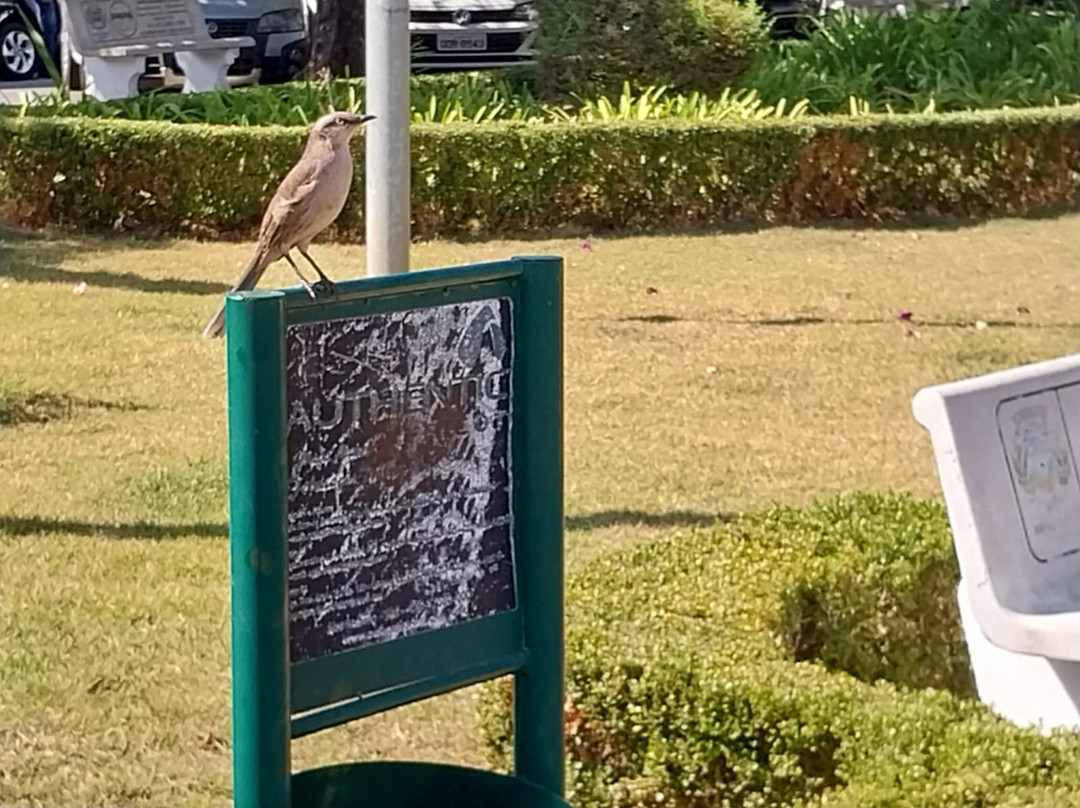 Prefeito Mario Zucato square-Monte Siao必去景点