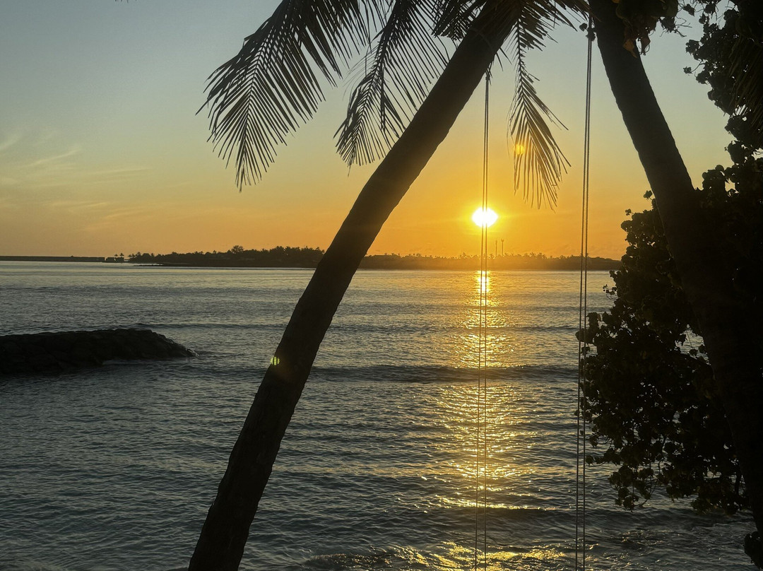 Samura Maldives Guest House主图