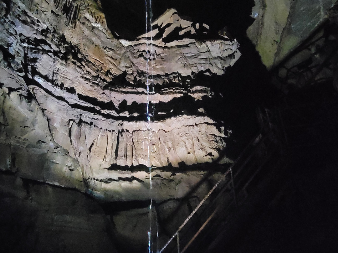 Squire Boone Caverns-Mauckport必去景点