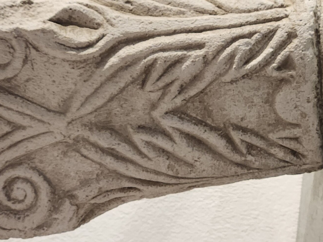 Narona Archaeological Museum景点图片