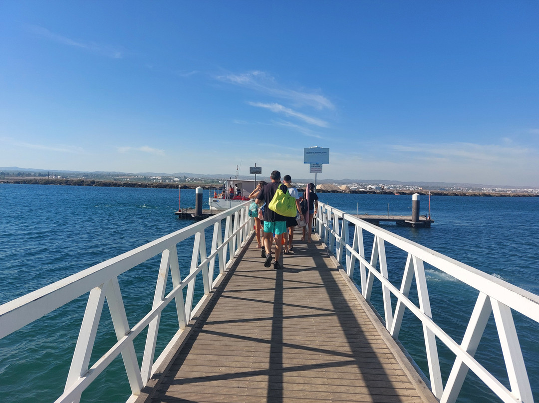 Praia da Terra Estreita景点图片