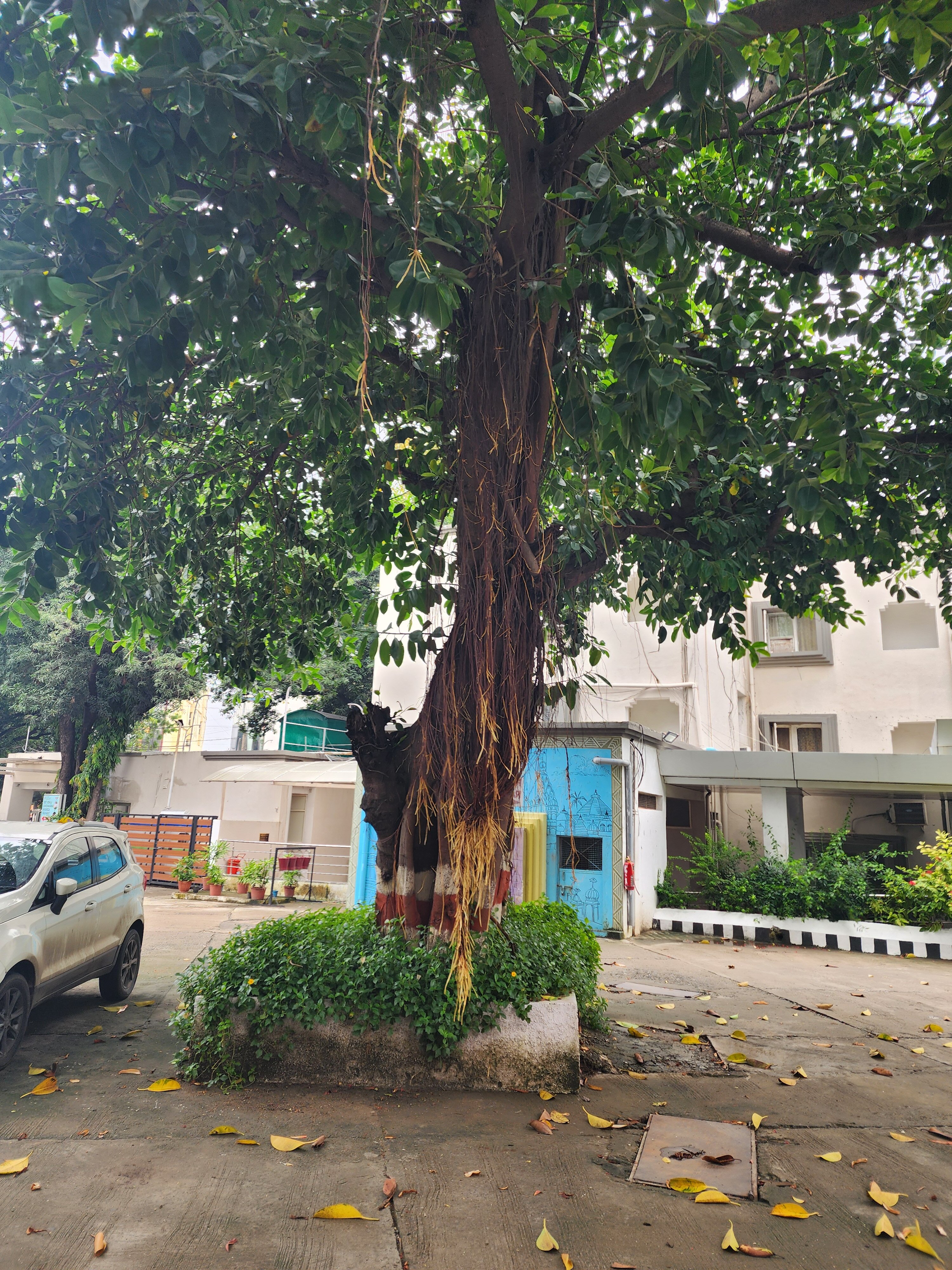 MPT Shipra Residency, Ujjain-浴室