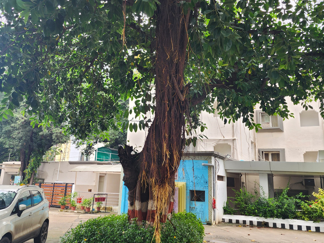 MPT Shipra Residency, Ujjain主图