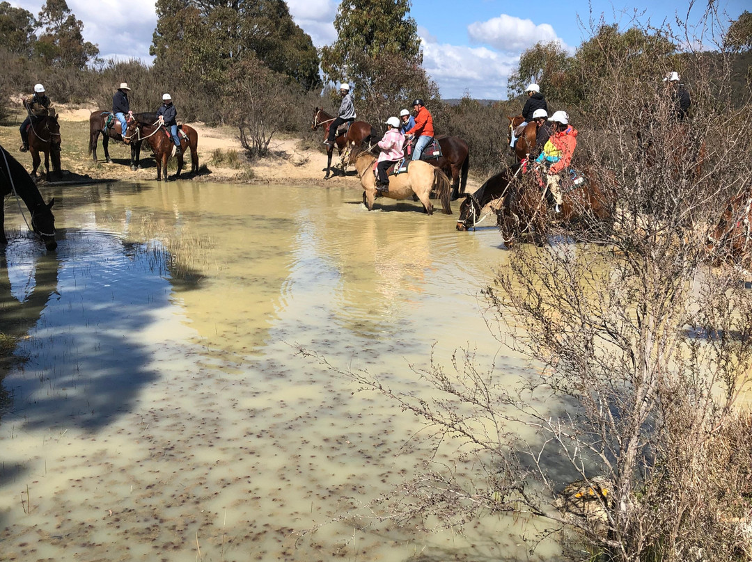 Snowy Wilderness Horse Riding景点图片