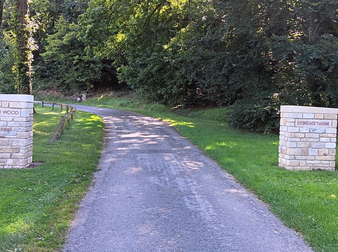 Belleau Wood - Marine Monument景点图片