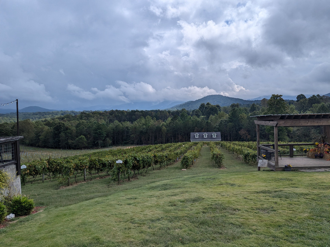 Ott Farms and Vineyard