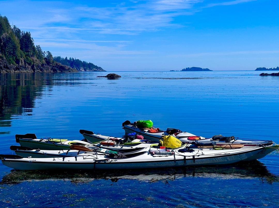 Ocean Sound Kayaking景点图片