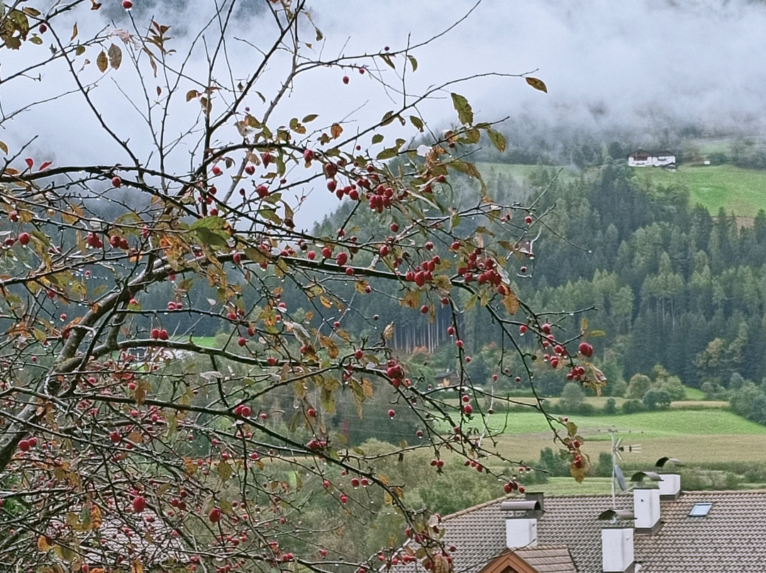 Pension Marcher主图