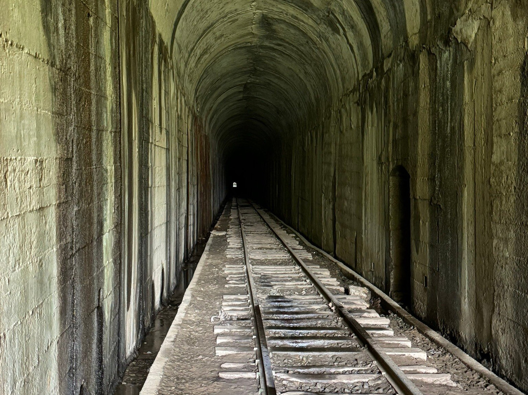 Trem da Serra da Mantiqueira景点图片