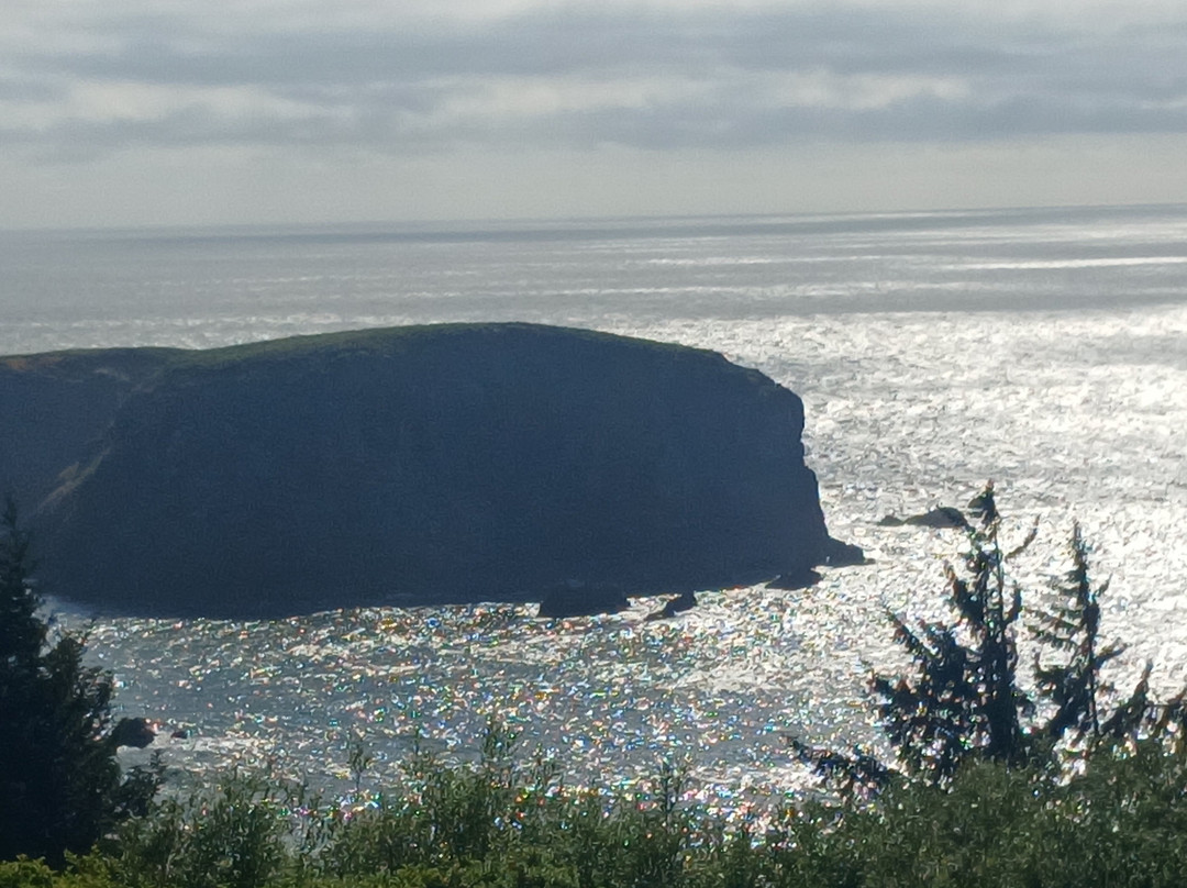 Whaleshead Viewpoint-布鲁金斯必去景点