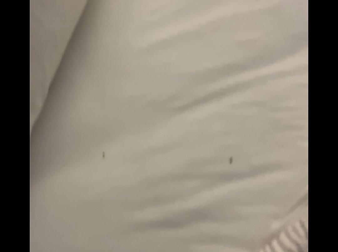 Fairfield by Marriott Inn & Suites Lumberton主图