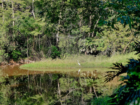 Colinas De Cabreúva主图