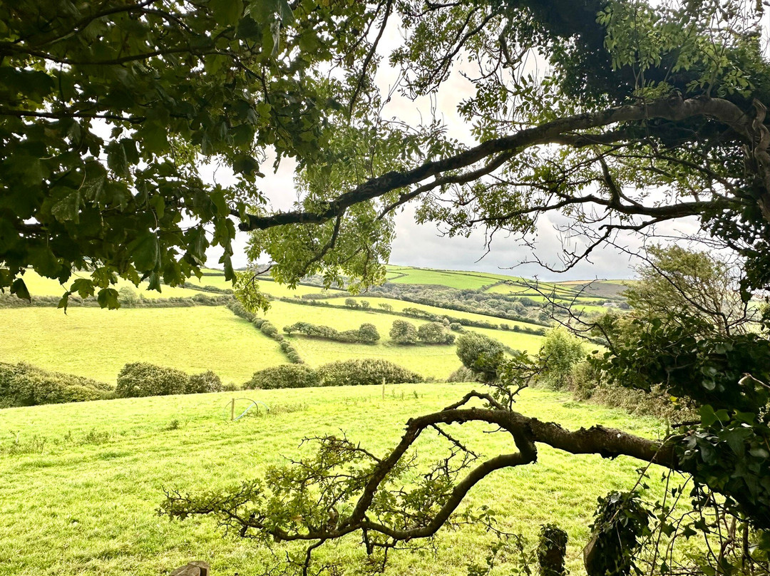 Saint Juliot Church-Boscastle必去景点