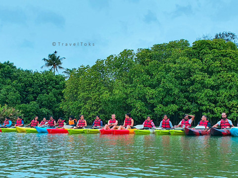 Mangrove Forest Kayaking Varkala-Paravur必去景点
