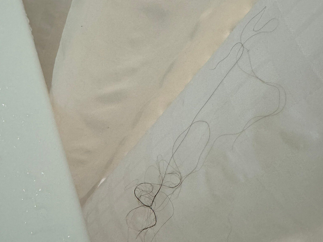 Homewood Suites By Hilton Springfield, VA主图