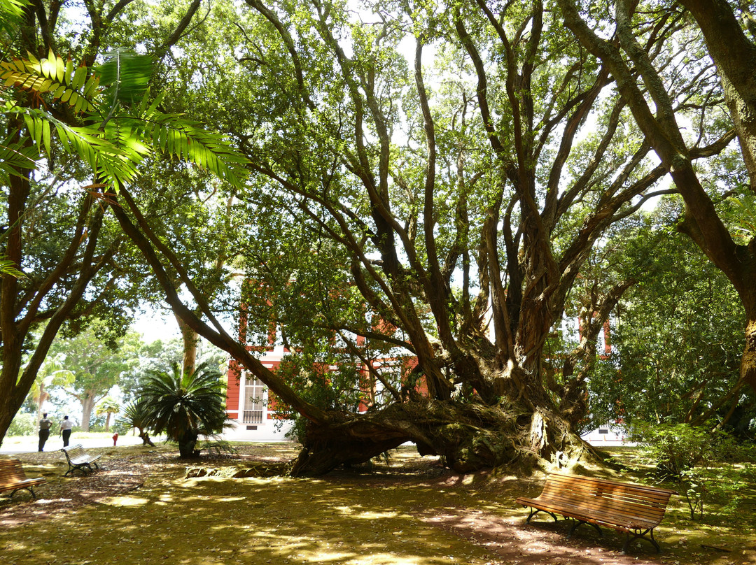 Jardim de Sant'Ana-蓬塔德尔加达必去景点