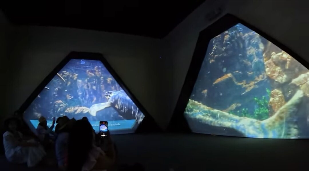 MUSEO DEL METEORITO EL ORIGEN DE LA NUEVA VIDA-Progreso必去景点