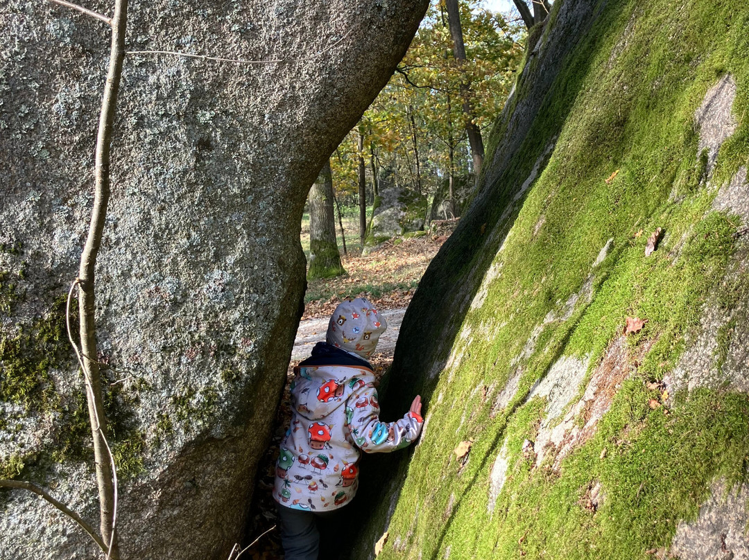 Naturpark Blockheide-Gmuend必去景点