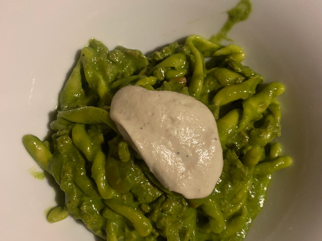 Alchimia Vegetale