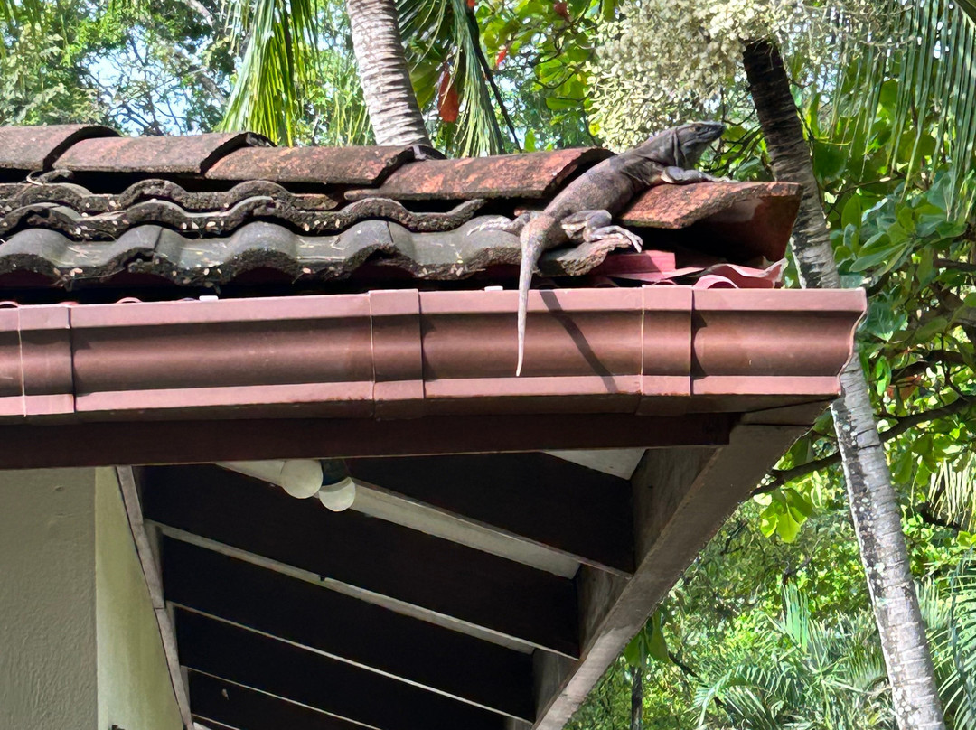 The Coast Beachfront Hotel主图