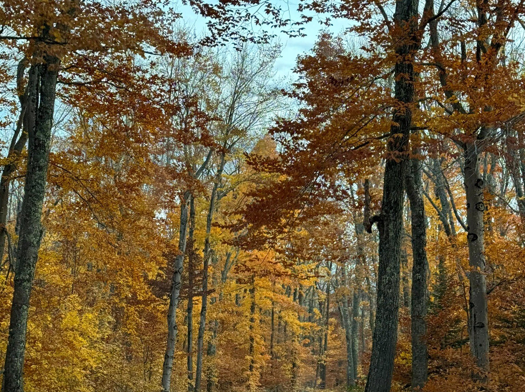 Little Beaver Lake-缪尼辛必去景点