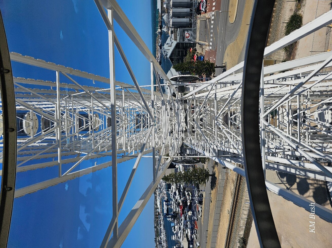 Tourist Wheel Fremantle景点图片