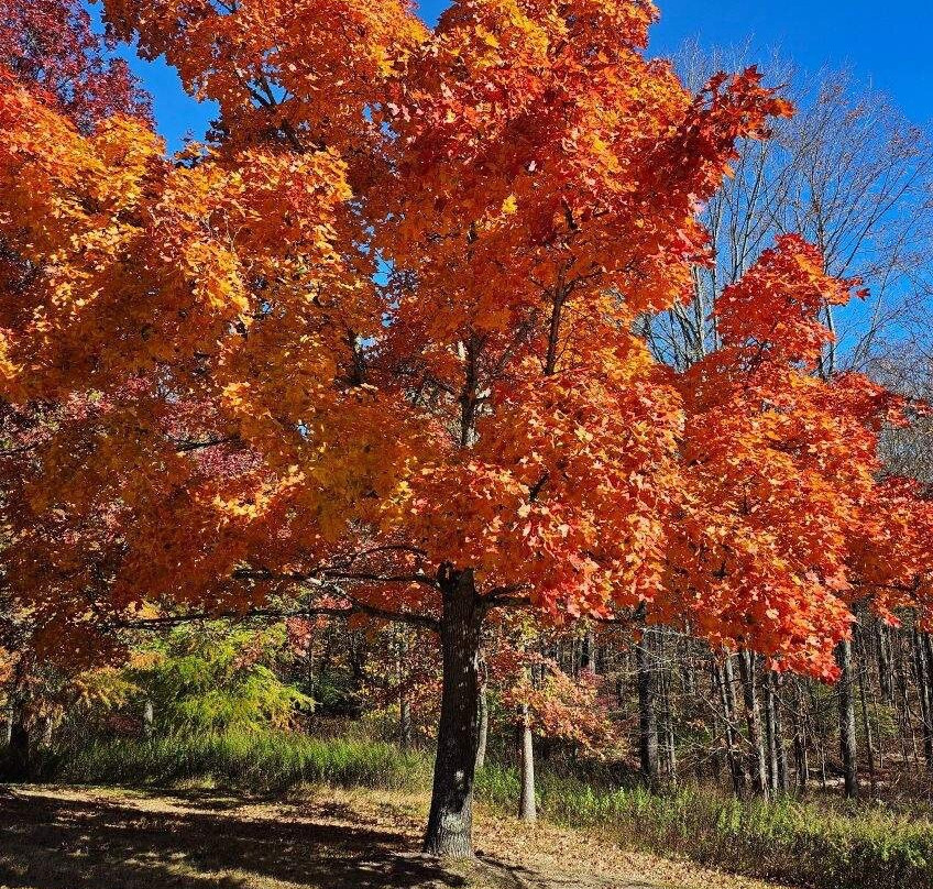 Lasdon Park-Somers必去景点