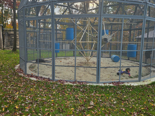 Hovatter's Wildlife Zoo-Kingwood必去景点