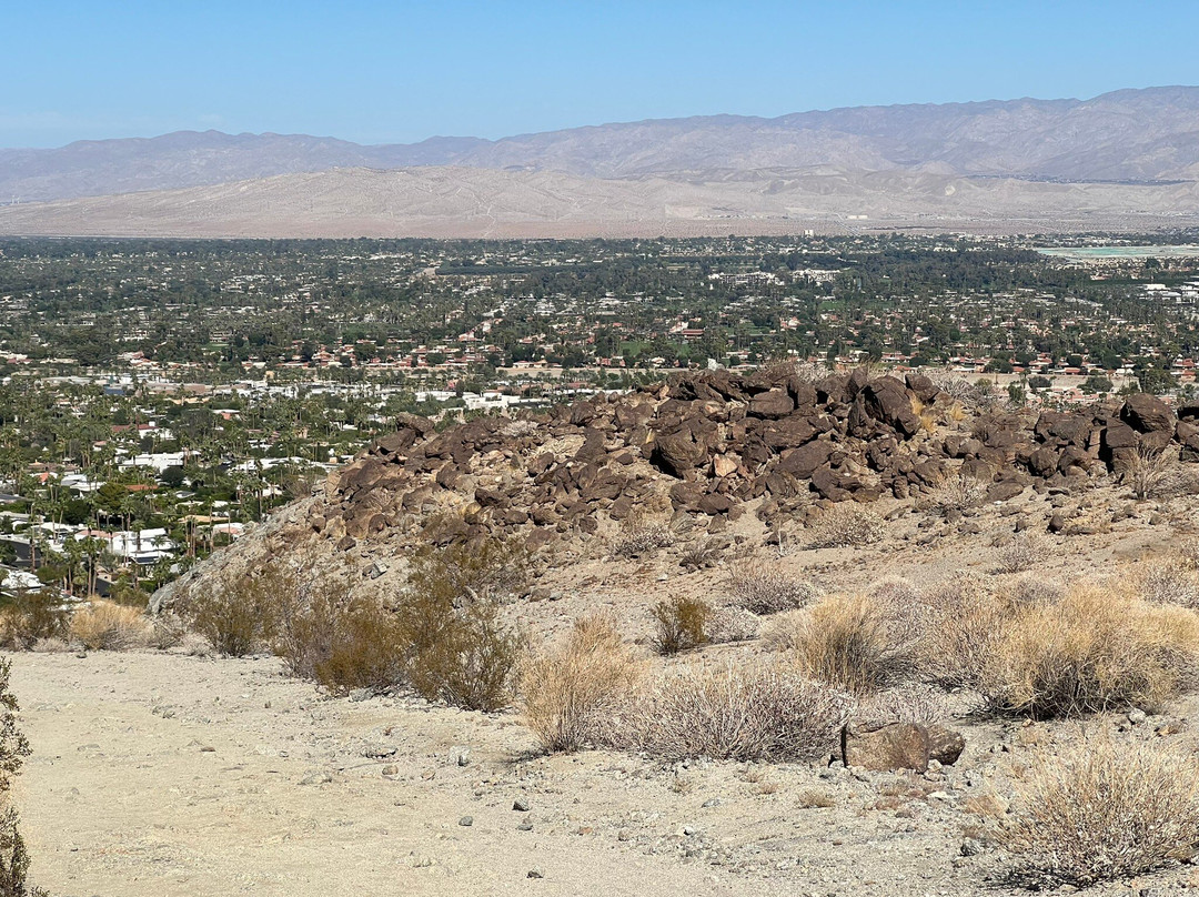 Bump and Grind Trail-棕榈沙漠必去景点
