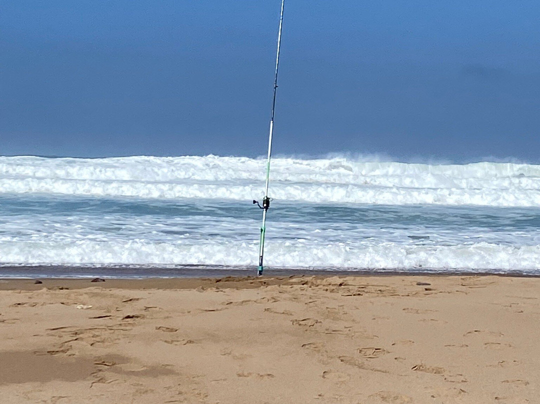 Greenwave Ecolodge Mirleft主图