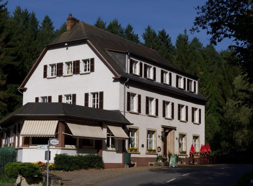 Medernach酒店住宿-Hostellerie de la Vallee