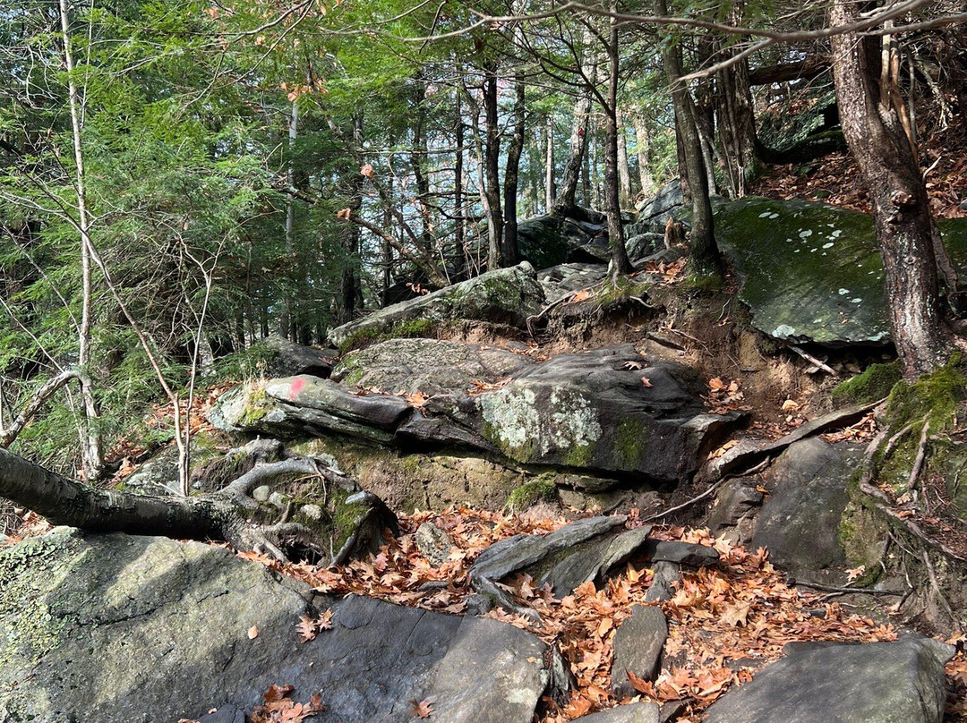 Wachusett Mountain State Reservation-Princeton必去景点